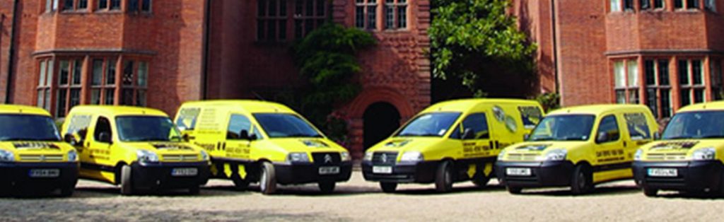 Sumo – Penetrating a niche market